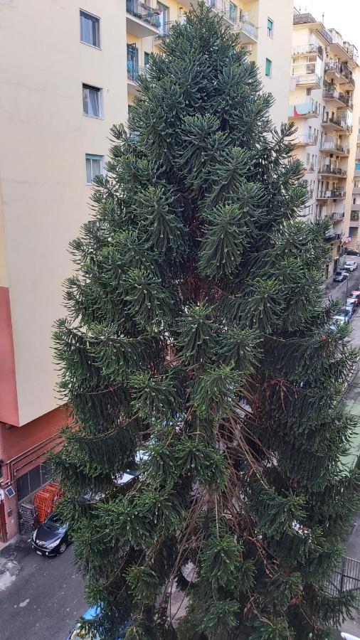 La Casa Del Cedro Διαμέρισμα Νάπολη Εξωτερικό φωτογραφία