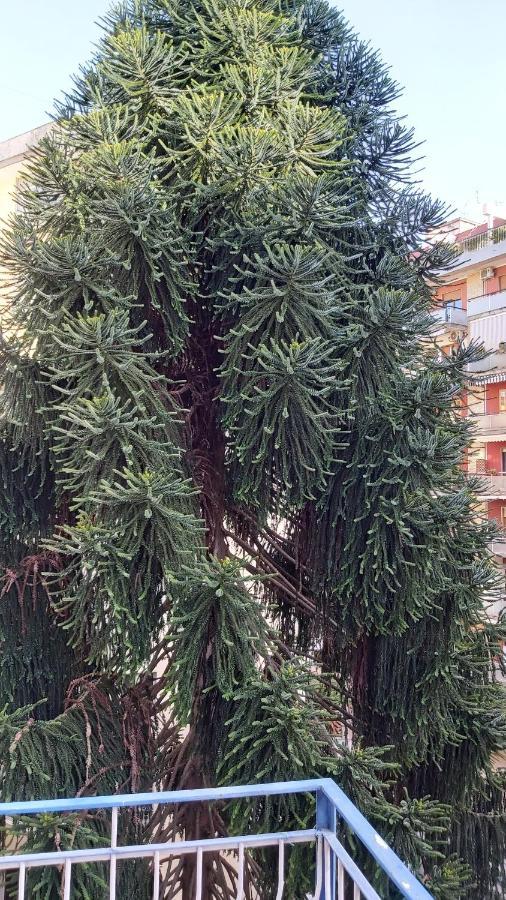 La Casa Del Cedro Διαμέρισμα Νάπολη Εξωτερικό φωτογραφία